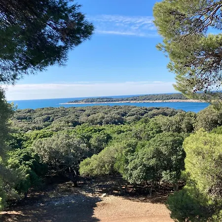 Апартаменти Red Roof *
