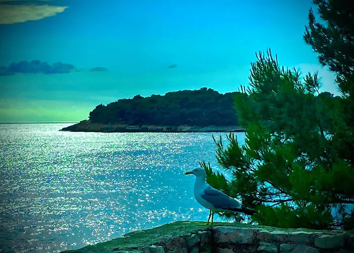 Red Roof * Πούλα